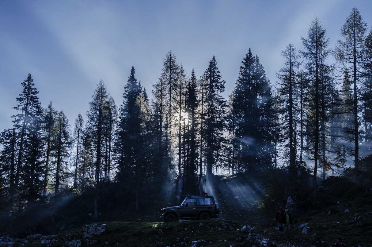 Rerum odit iusto quos harum