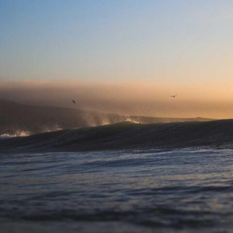 Ut illum amet dolores