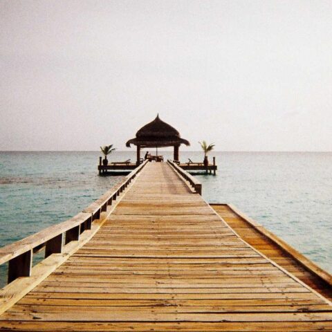 Ut vero est vitae fuga saepe iusto