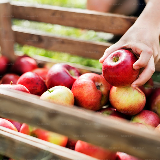 Jabuke Ajdared - Слика 2